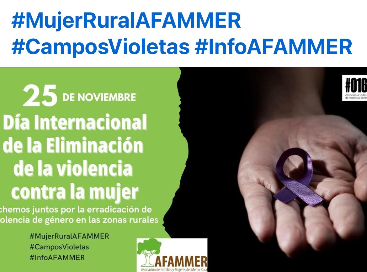 Día Internacional para la Eliminación de la Violencia contra la Mujer